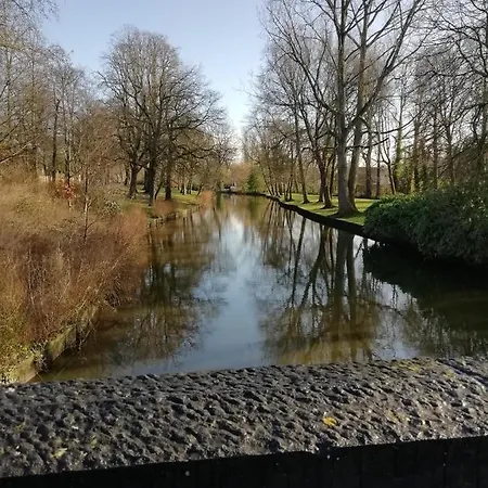 Mooie Zwaantjes