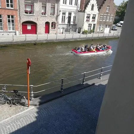 Mooie Zwaantjes Daire
